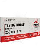 Testosterone-Enanthate for sale 250mg/1ml