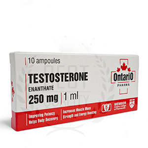 Testosterone-Enanthate for sale 250mg/1ml